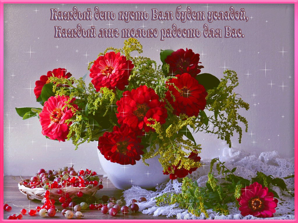 Добрый день пожелания. Добрый день прикол. Добрый зимний день.