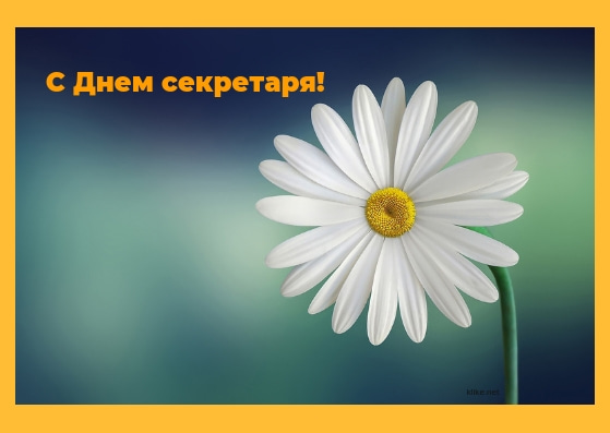 Картинки с международным днем секретаря. Прикольные картинки с Днём секретаря. 