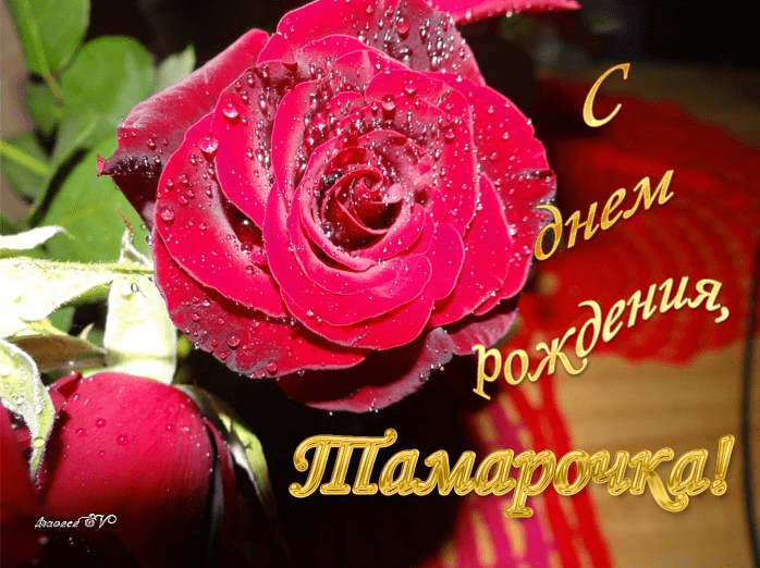 Открытки на 8 марта с красными розами. Открытки С днём рождения с красными розами.