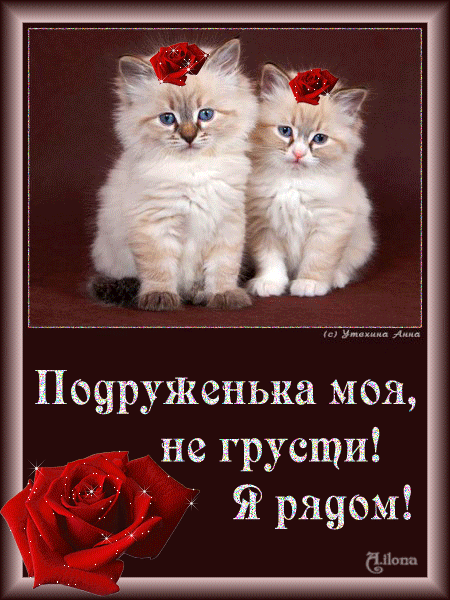Картинки подруга не переживай