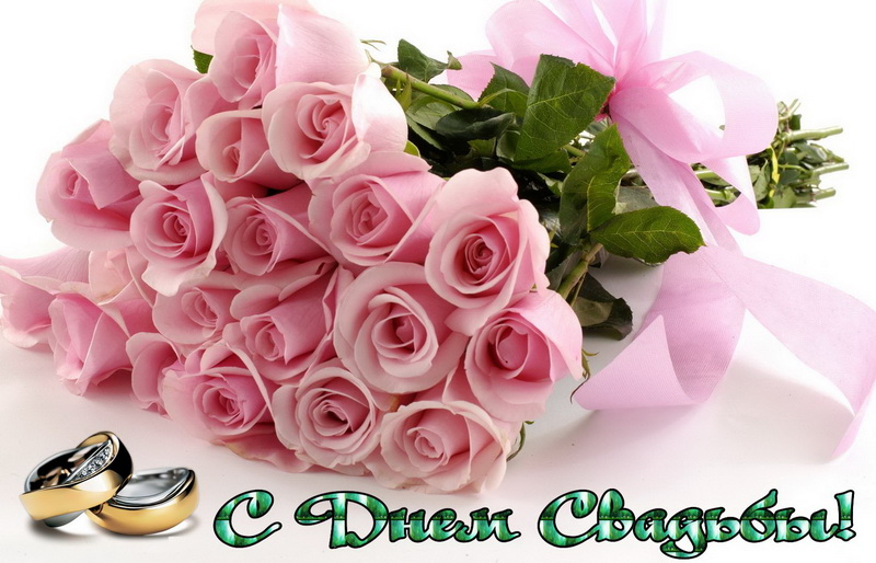 Красивые картинки с розовыми розами. Картинка с розовыми розами.