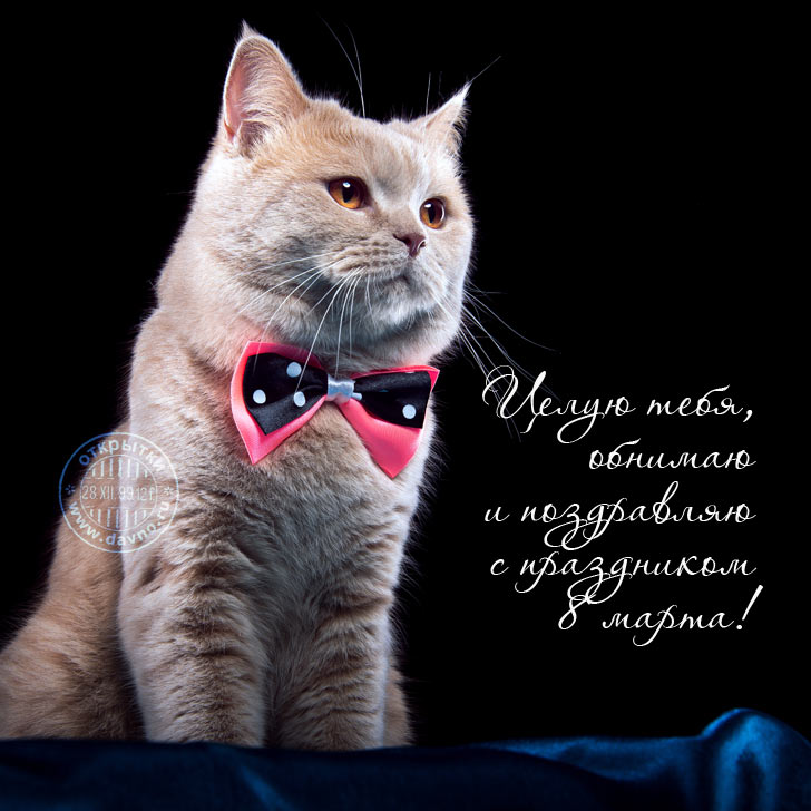 Картинка Люблю целую обнимаю. Картинка Вот так тебя обнимаю.