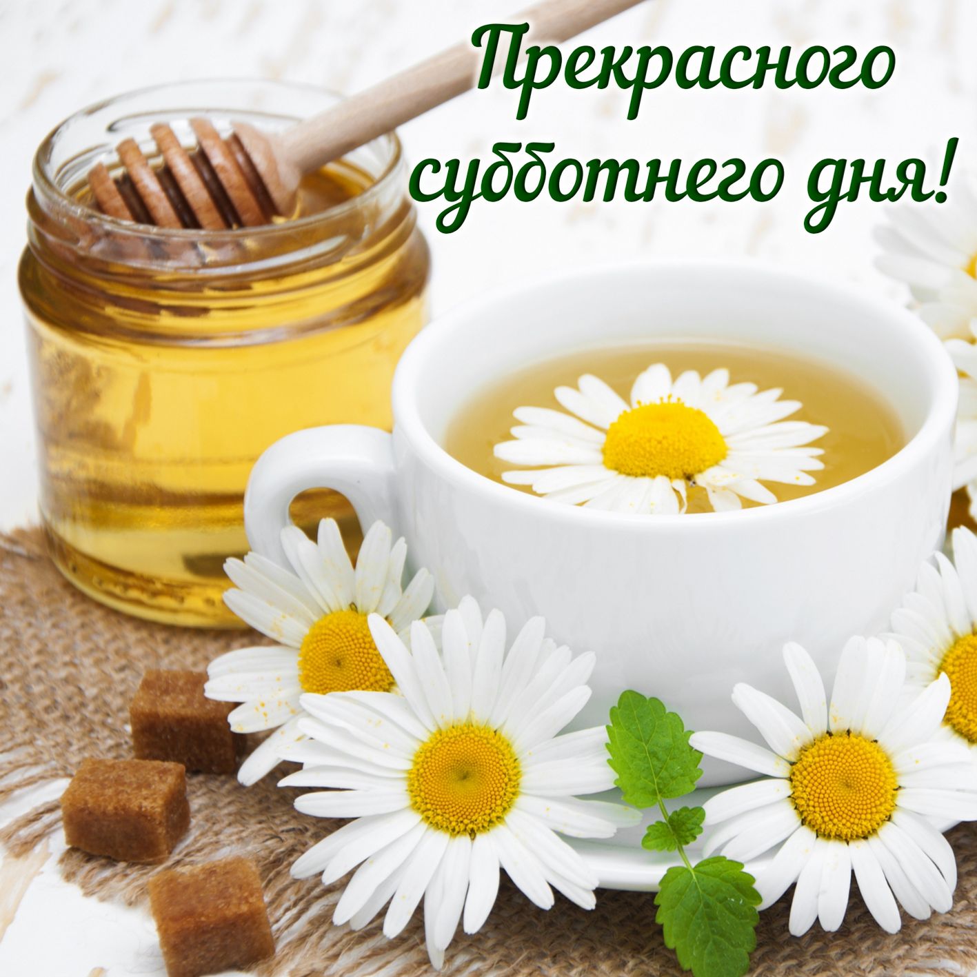 доброе утро друзьям картинки красивые необычные субботы