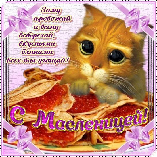Поздравляю с масленицей! И вновь у кота Масленица. Открытки с масленицей!