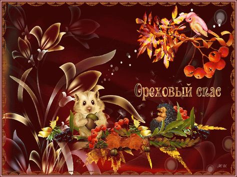 Открытки GIF с ореховым Спасом. Открытки С праздником ореховым Спасом.