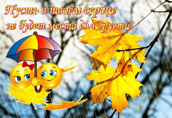 Картинки Не грусти все будет хорошо. Открытки с кошками Не грусти.