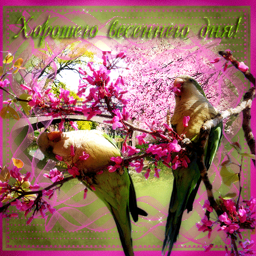 Открытка Сиреневая Нежность, я с корзиной цветов сирени Сиреневый и голубой.