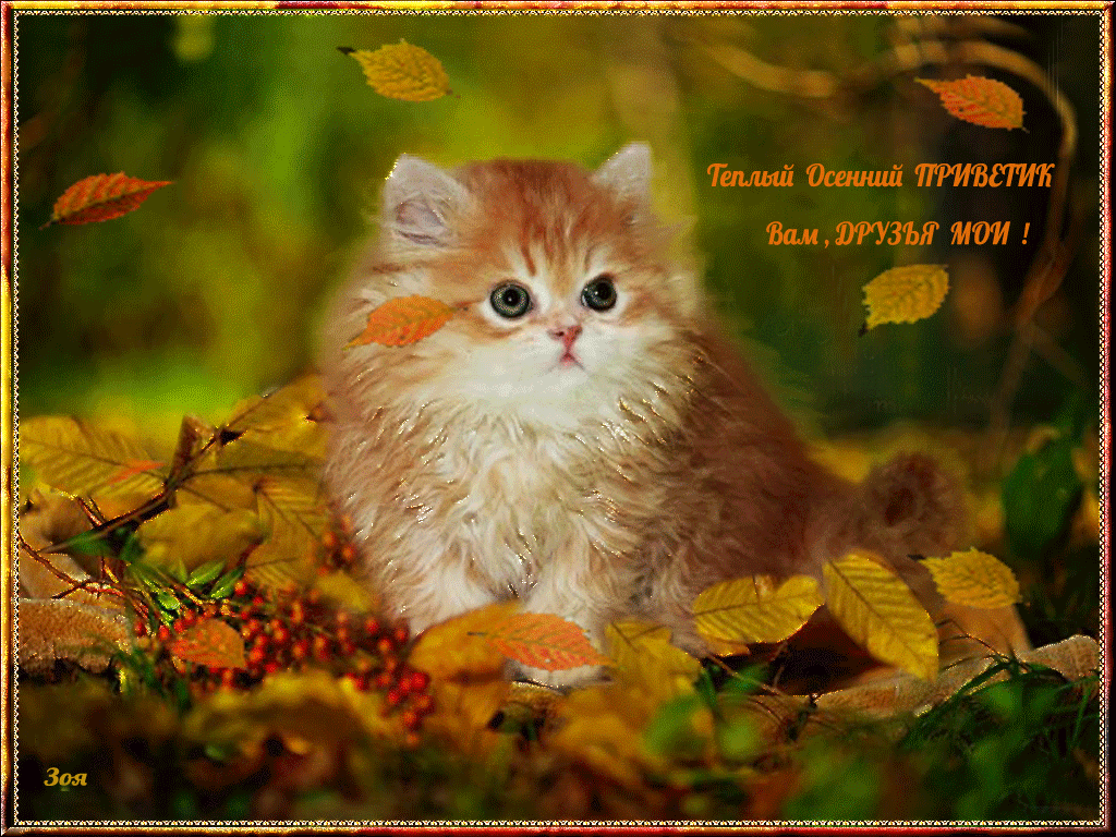 Открытки осенний Приветик. Бесплатные открытки осенний Привет.