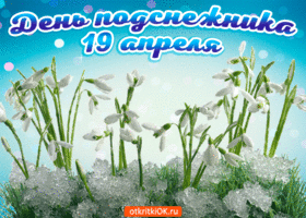 Музыкальные открытки книжника. Открытки поздравления с днем подснежника.