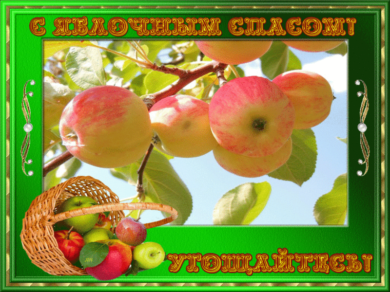 Открытка с девочкой кушающей яблоко. Открытка с девочкой с корзиной яблок.