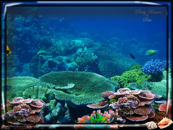 Удивительный подводный мир открытки. Подводный мир картинки открытки для детей.