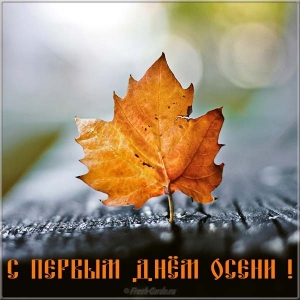 Открытка Поздравляю с первым днём осени! открытка Золотая осень пришла, с пра...