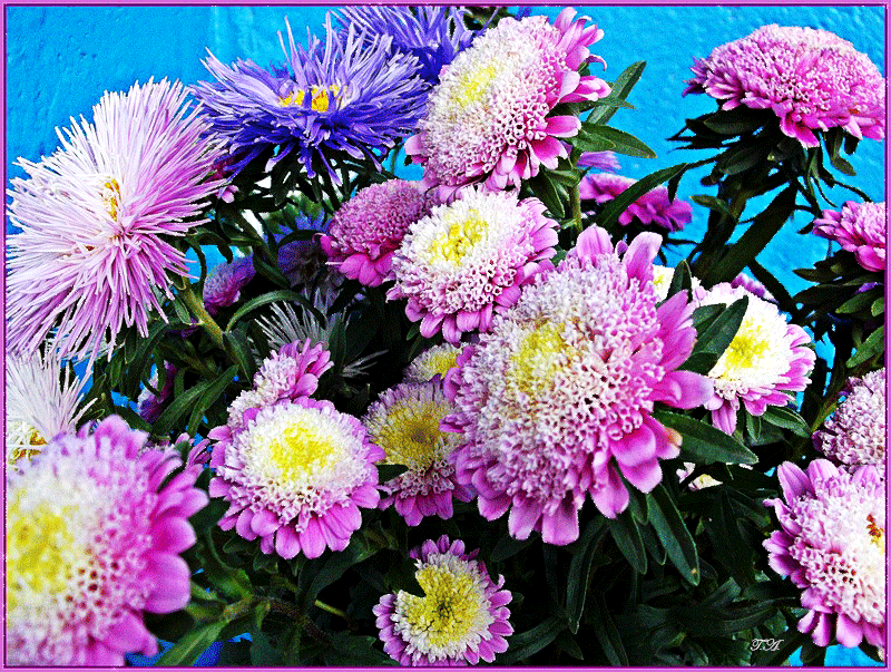 Открытки мерцающие бабочка с астрой. Открытки с букетом остров ко дню рождения.