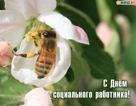 Гифка с Днем социального работника. Поздравления с днем социального работника...