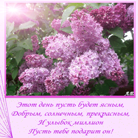 Открытка Желаю вам простого счастья, с цветущей сиренью.    