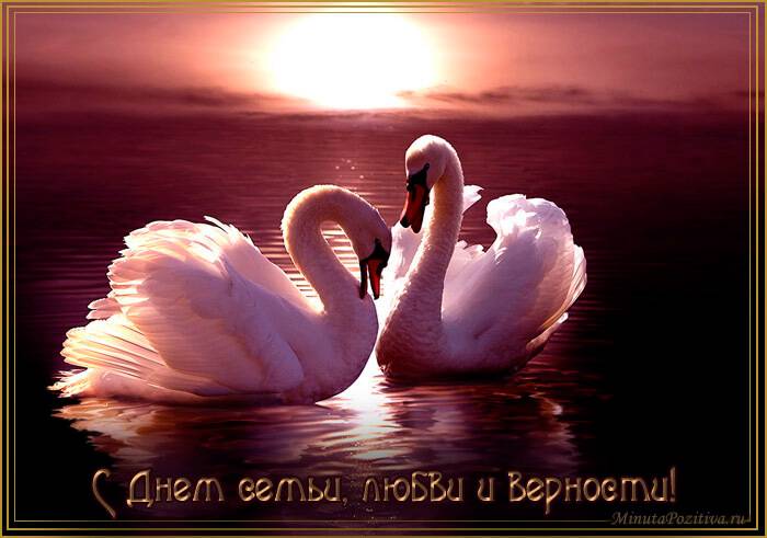 Открытка Лебединая пара. Открытка с пожеланиями нежно сказочного вечера с леб...