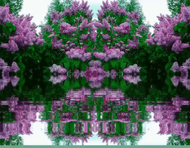 Открытка с корзиной фиолетовая сирени. Открытка Здравствуй, месяц май, я с бу...