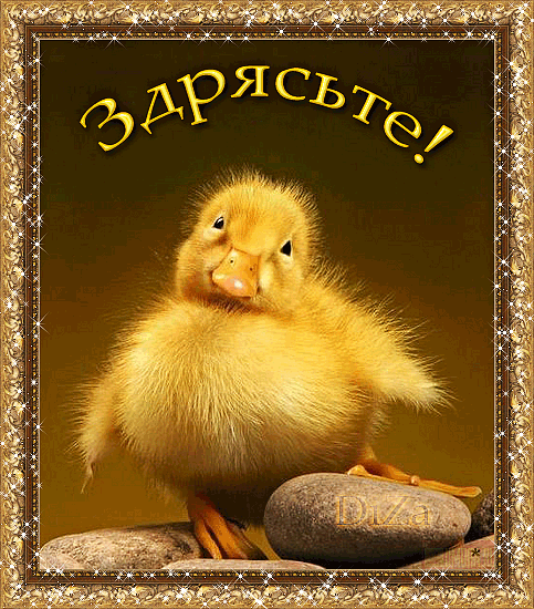 Открытка Приветик тебе букетик. Открытка Привет красотка.   