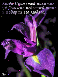 Открытка мерцающая GIF голубой Ирис. Ретро открытка на день рождения с нарисо...