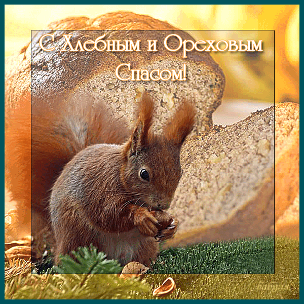 Открытка на стол я и хлеб, и орехи поставлю с ореховым Спасом друзей всех поз...