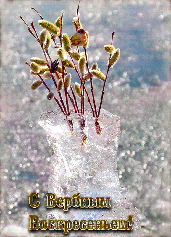 Открытки с вербным воскресеньем 2020. С наступающим вербным воскресеньем.