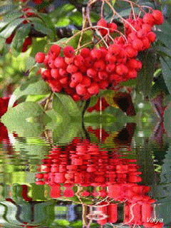 Открыткам ягодного настроения! Открытка со стаканом клубники маленькая радост...