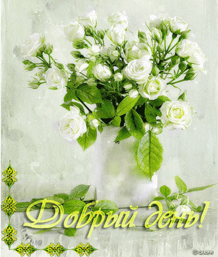 Добрый день пожелания. Добрый день прикол. Добрый зимний день.