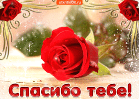 Открытка с четверостишьем Спасибо! Открытка Спасибо за тёплые слова!