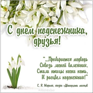 Показать открытки с Днем подснежника. Открытки поздравления с днем подснежника.