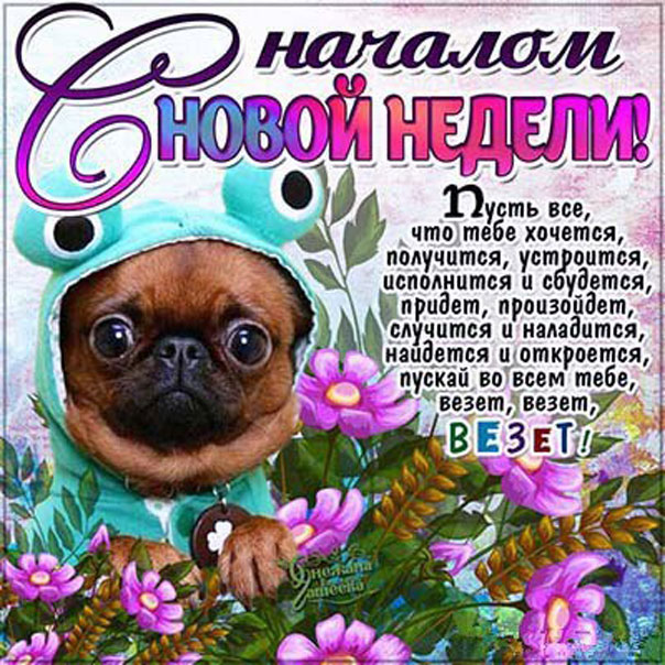 Картинки Легкого понедельника и удачной недели. Хорошего понедельника удачной...