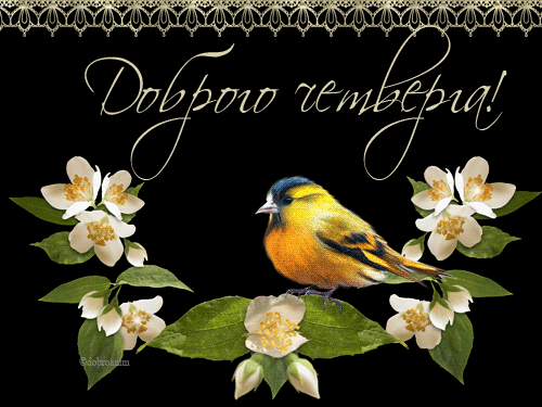 Картинки с праздником, картинки четверг прикольные. Картинки про четверг смеш...