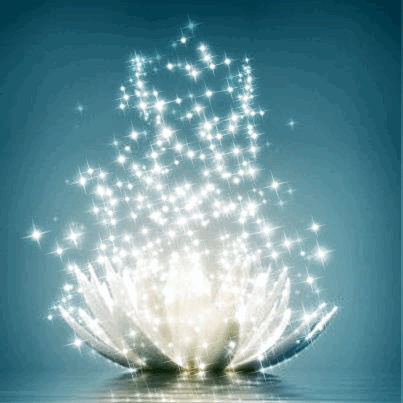 Красивые картинки с лотосом. Картинки с цветком лотоса. Картинки с изображени...