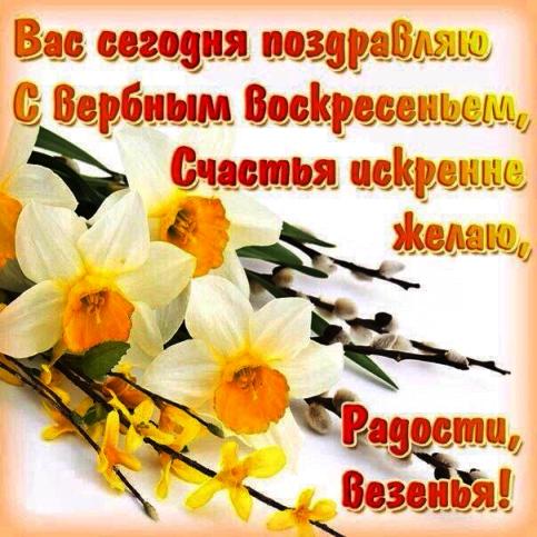 Картинки поздравления с вербным воскресеньем. Картинка с вербным воскресеньем...
