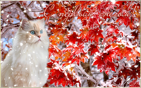 Открытки С первым снегом утро. Красивые открытки С первым снегом.