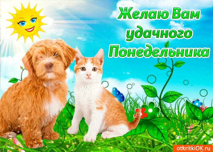 Красивые открытки с понедельником. Анимационные открытки с понедельником.