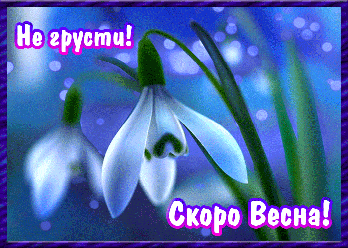 Открытка со Смешариками не грусти. Открытки со стихами не грусти.