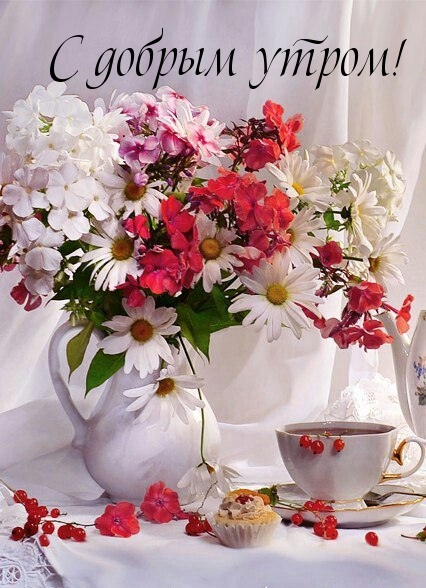 Прикольные открытки Доброе утро среда. Открытки Доброе утро и хорошего дня ан...