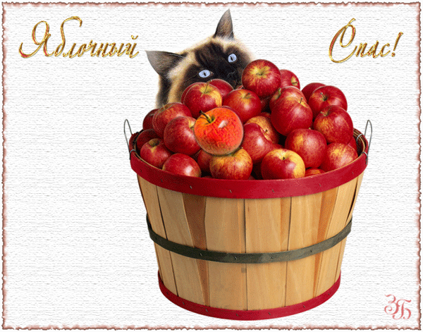 Открытка с яблоками и возле иконы. Открытка с ежиком и корзины яблок.