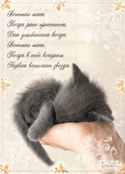 Картинки скачать для любимого парня. Картинка с днём рождения для любимого.