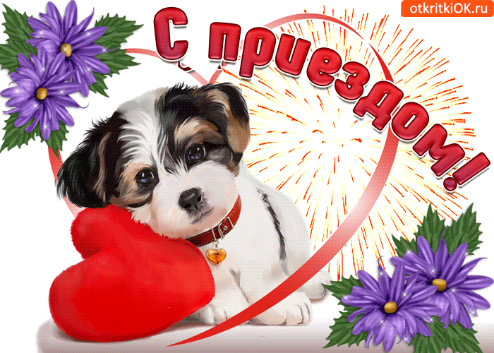 Открытки С приездом домой из отпуска. Открытки С приездом на Родину.