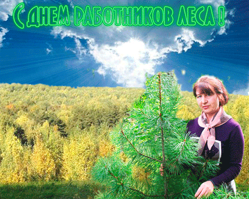 С праздником работники лиса! открытки с берёзками на День работников леса.