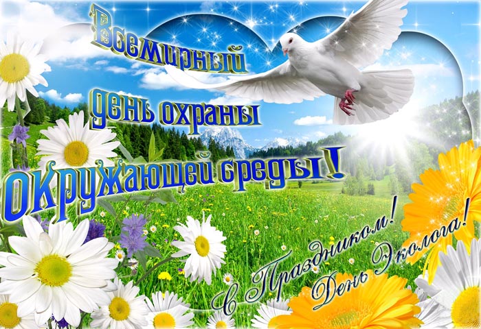 Открытка день эколога. Красивые открытки с Днем эколога. Бесплатно открытки С...