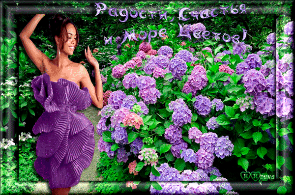 Открытка с нарисованными гортензиями. Открытка от всего сердца с гортензией.