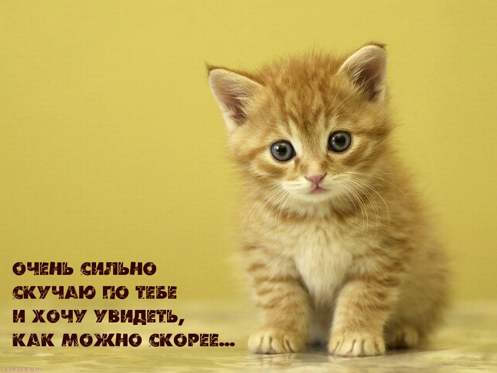 Открытки с зайчиками скучаю по тебе. Открытка Я уже скучаю по тебе.