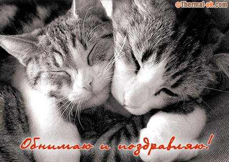 Открытка обнимашки. Открытка обнимаю. Открытка обнимаю тебя. 