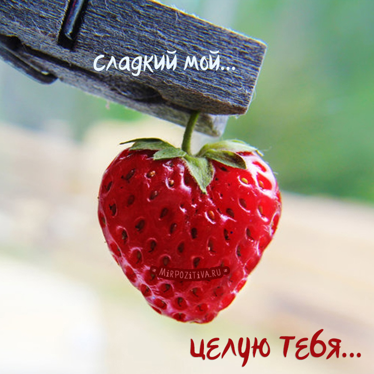 Открытка шлю тебе Приветик и поцелуйчики! Открытка Лови воздушный поцелуй!