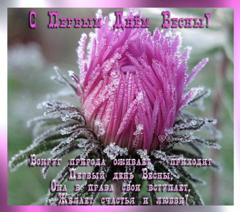 Открытки С первым днем весны для мужчин. Открытки С первым днем весны для форума.
