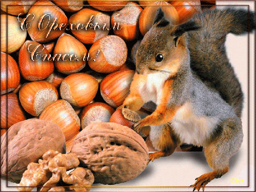 Красивая открытка с ореховым Спасом. Открытка с ореховым Спасом.