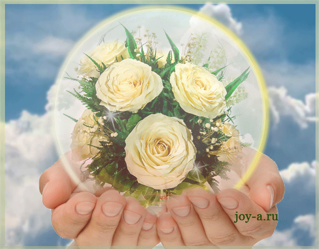 Скачать открытку с белыми розами.  Открытка с белыми розами.