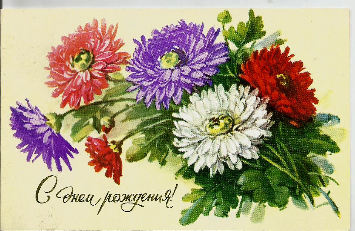 Открытка гиф мерцающая с одной фиолетовой астры. Открытка с анимацией различн...